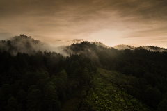 DJI_0797