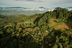 DJI_0809