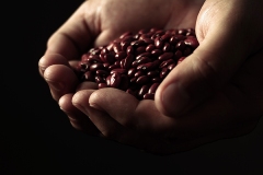 beens2