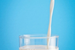 milk